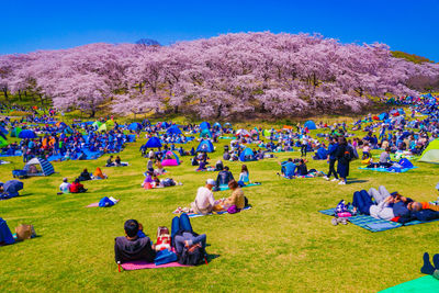 People on field