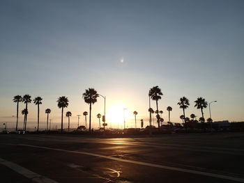 Silhouette palm trees against sky during sunset