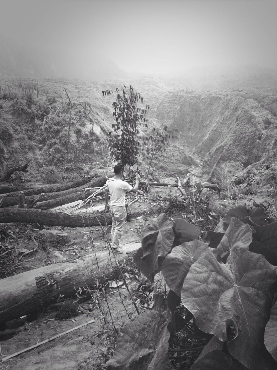 Pesona Merapi (Merapi View) C8