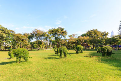 Trees on field against sky
