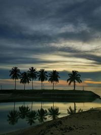 Palm trees on beach against sky during sunset