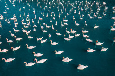 Full frame shot of water