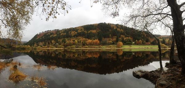 Reflection of trees in lake against sky