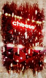 Close-up of red flower