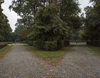 Empty footpath in park