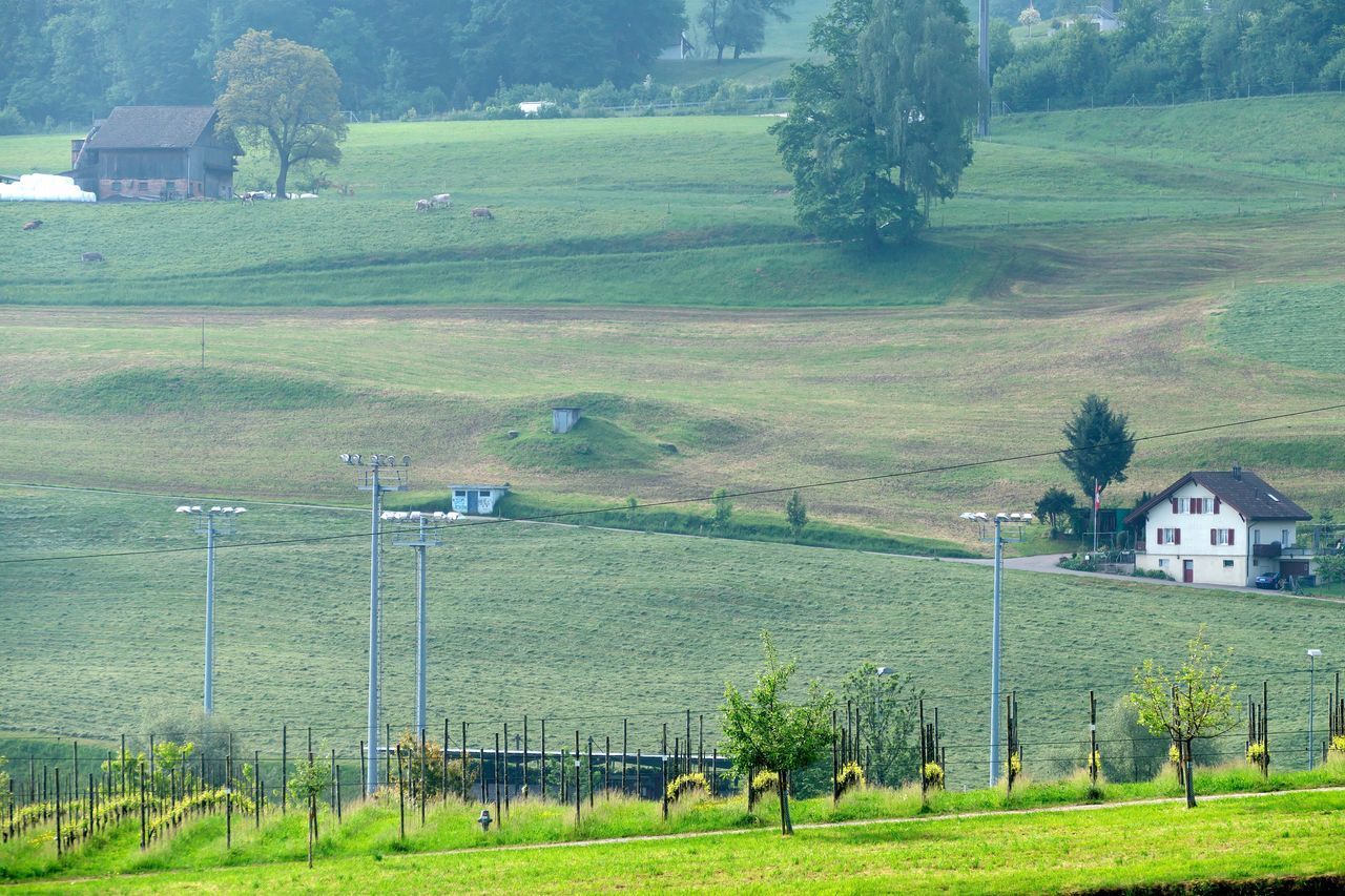 SCENIC VIEW OF FIELD AND HOUSES