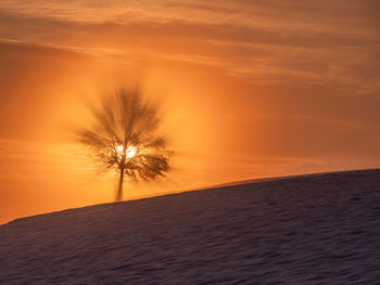 Silhouette tree on landscape against sky during sunset