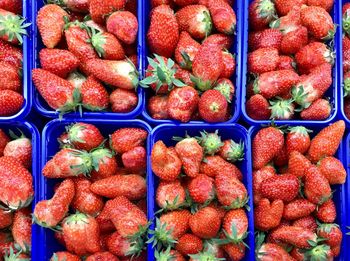 Full frame shot of fruits for sale in market