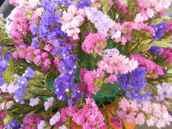 Purple flowers