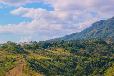 Scenic view of landscape against sky