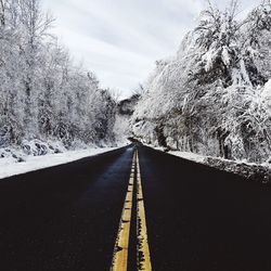 Empty road amidst snow covered trees