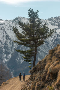 Rear view of people walking on mountain