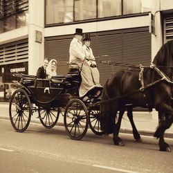 Horse cart in city