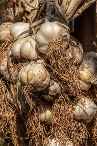 High angle view of eggs in nest