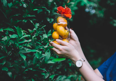 Close-up of hand holding fruit