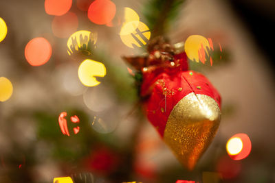 Close-up of christmas tree