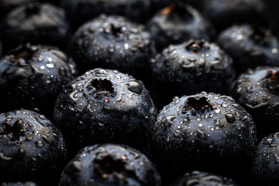 Full frame shot of blueberries