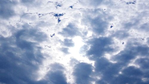 Low angle view of birds flying against sky