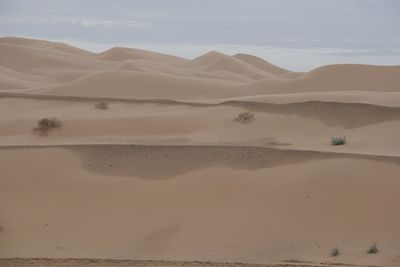 Scenic view of desert against sky