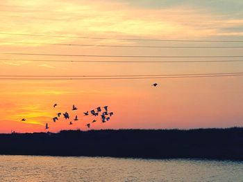 Silhouette birds flying over sea against orange sky