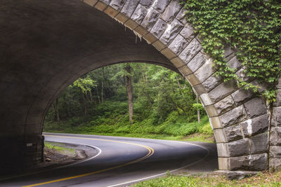 Arch bridge over road in forest