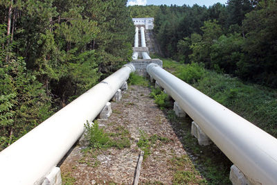 High angle view of pipe amidst trees