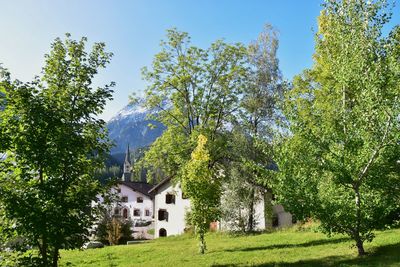 House amidst trees against sky