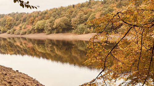 Scenic view of lake in forest during autumn