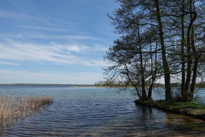 Scenic view of river against sky