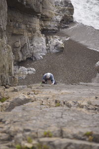 View of crab on beach