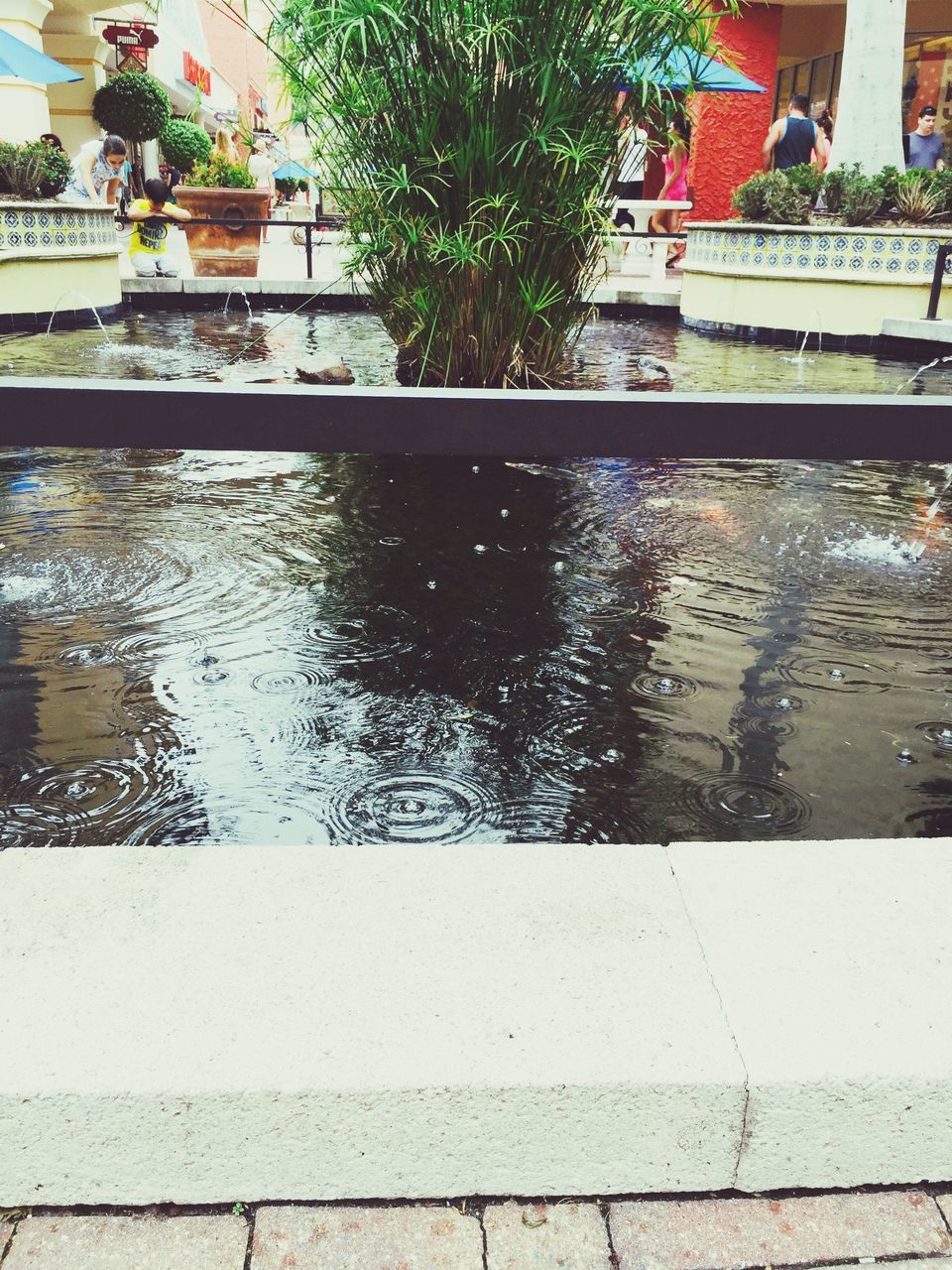 water, plant, reflection, building exterior, built structure, growth, outdoors, architecture, pond, high angle view, day, nature, no people, rippled, green color, leaf, tree, fountain, railing, paving stone