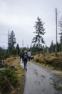 Rear view of people walking on road against sky