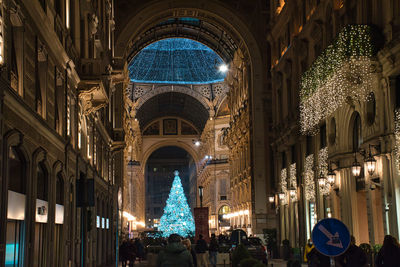 Illuminated christmas tree outside building