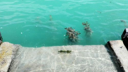 Water splashing in blue sea