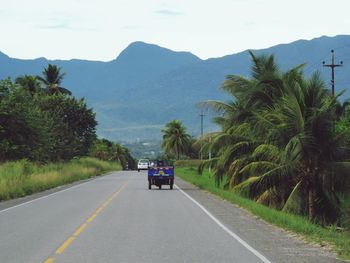 People on road amidst trees against sky