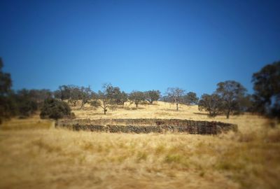 Scenic view of field against clear blue sky