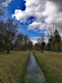 View of trees against sky