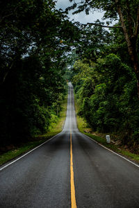 Empty road amidst trees in forest