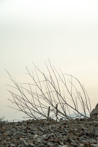 Scenic view of land against clear sky at sunset