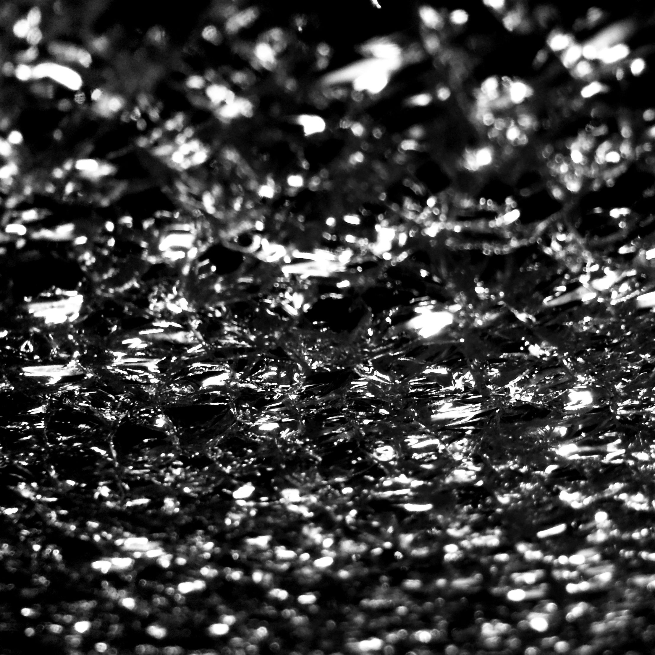 full frame, backgrounds, selective focus, close-up, textured, nature, detail, pattern, no people, abundance, day, indoors, wet, natural pattern, fragility, surface level, high angle view, growth, macro