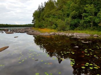 Scenic view of lake in forest against sky