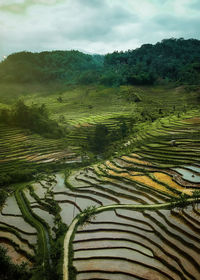 Scenic view of agricultural field against sky