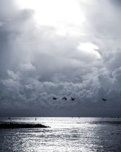 Birds flying over sea against sky