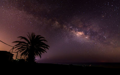 Silhouette palm tree against sky at night