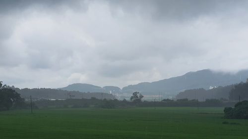 Scenic view of landscape against sky