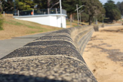 Surface level of road along trees