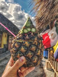 Midsection of person holding pineapple 