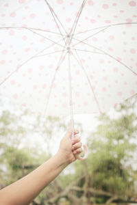 Cropped woman holding umbrella during rainy season