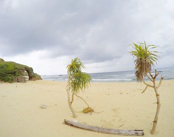 Scenic view of beach against sky