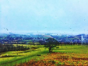 Scenic view of field against sky seen through window